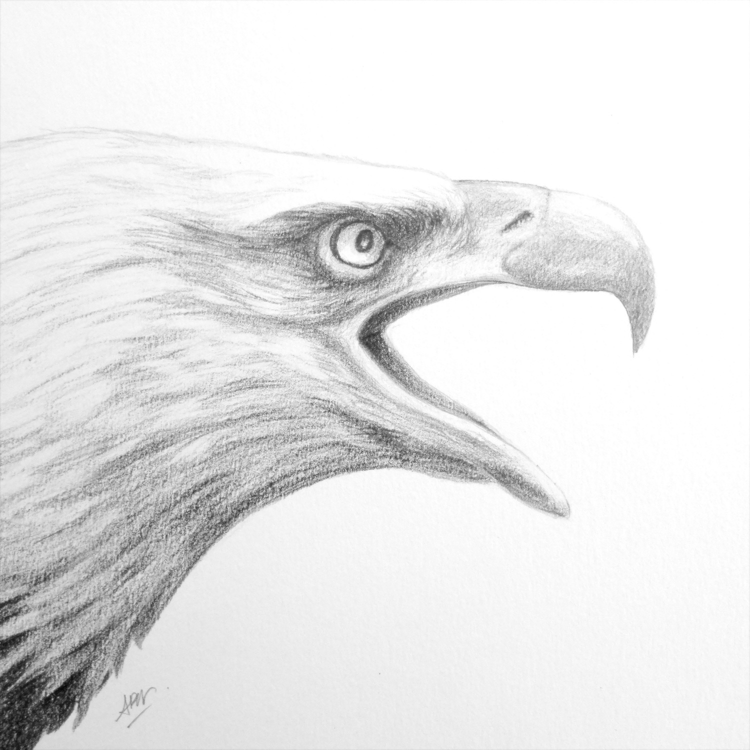 eagle-1