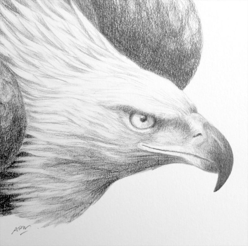 eagle-3