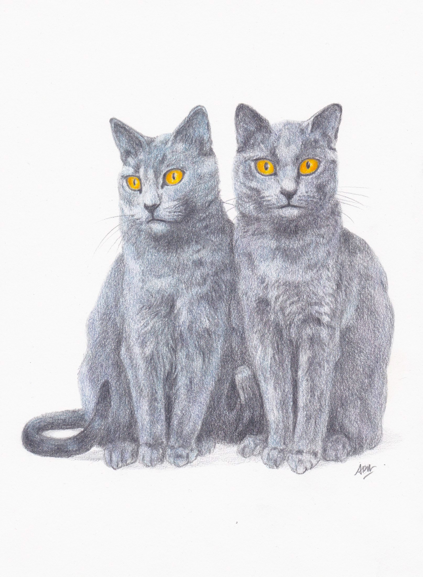 chartreux-brothers-private