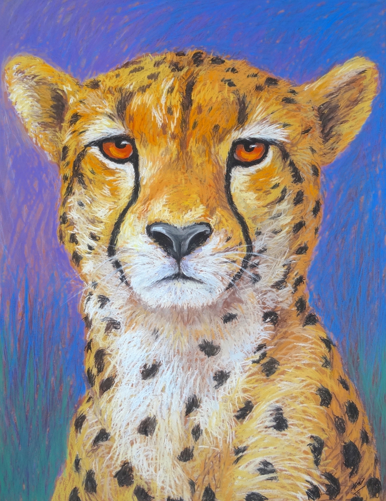 cheetah-portrait