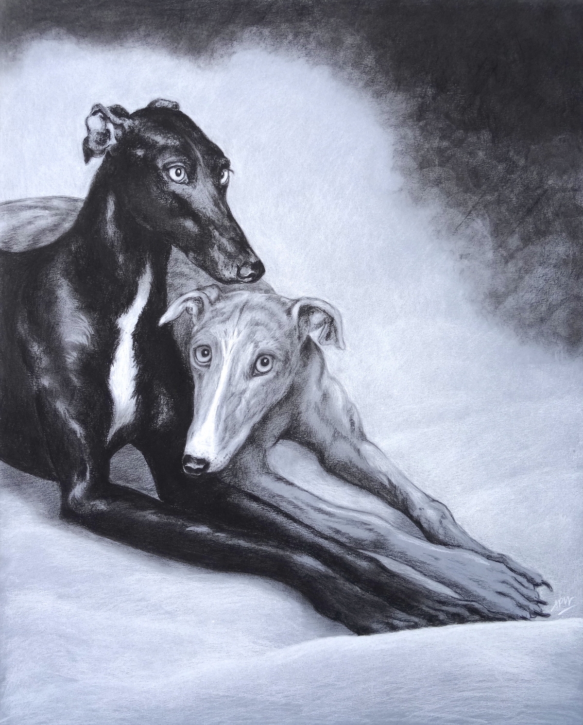 greyhound-couple