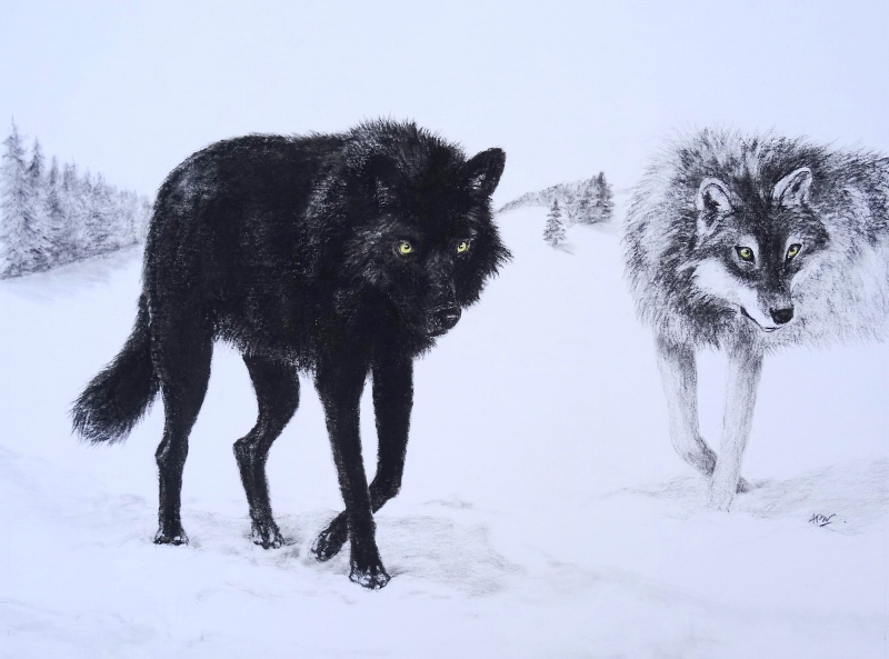 two-determined-wolves