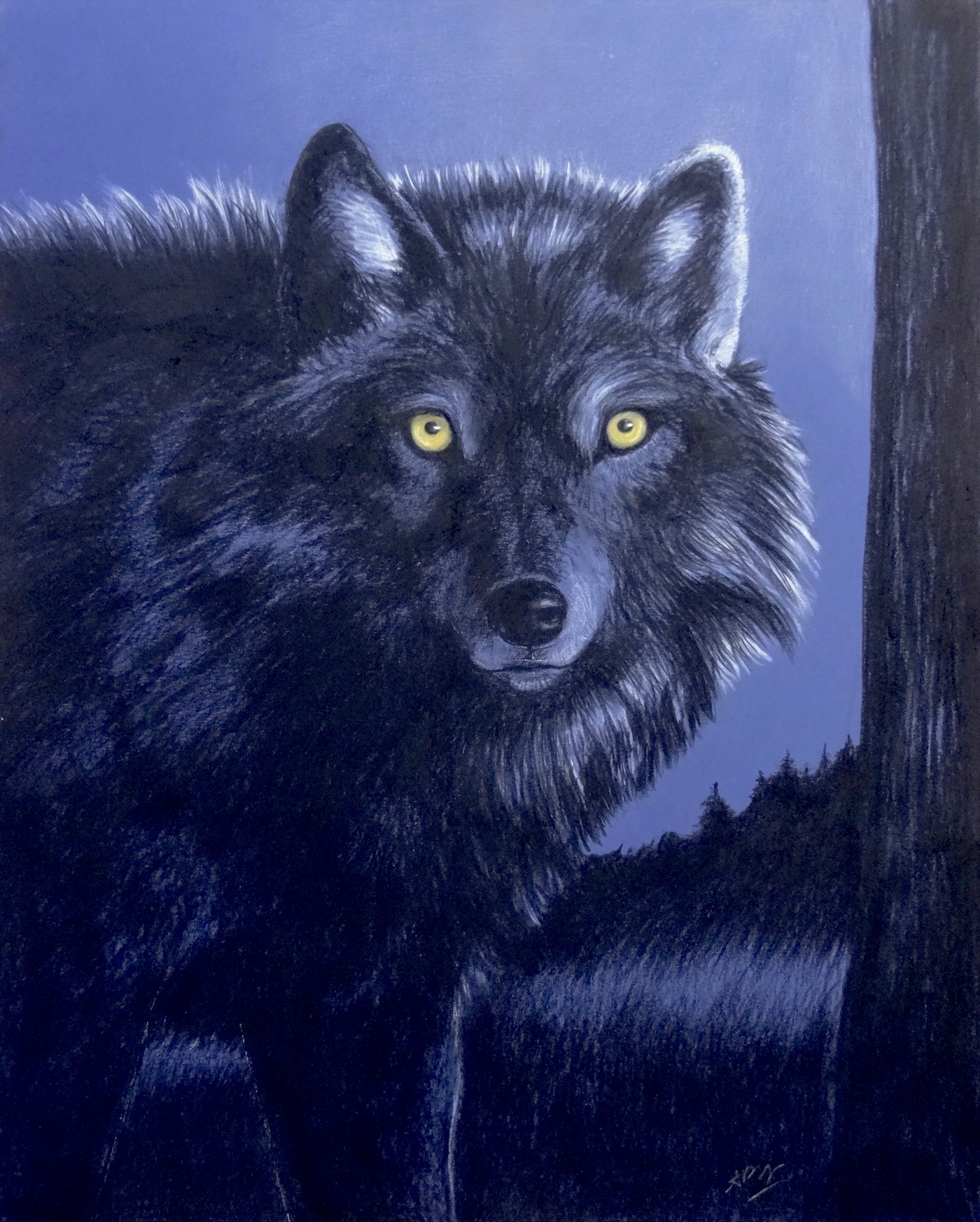 black-wolf-portrait