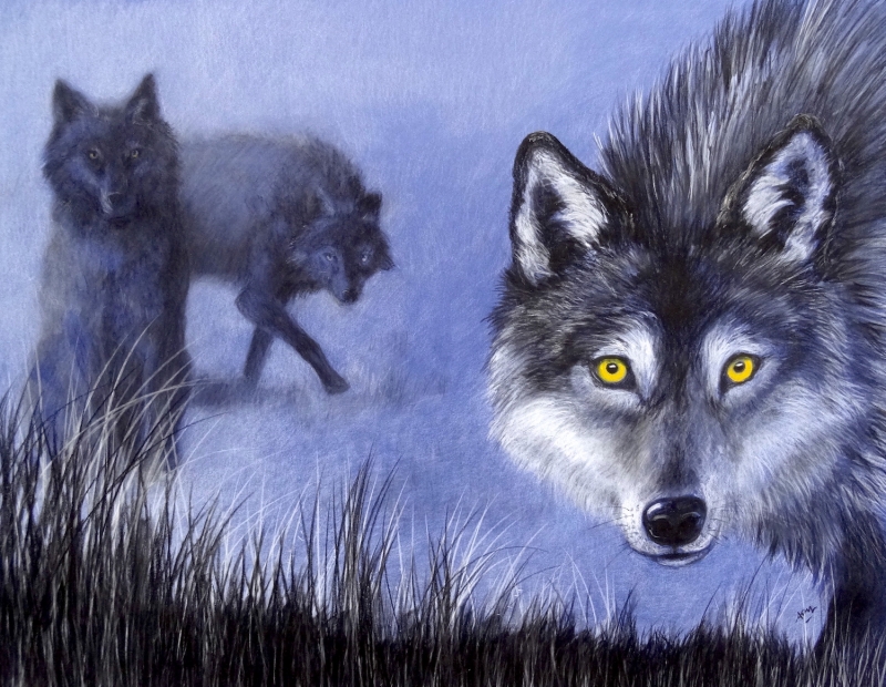 wolves-in-the-mist