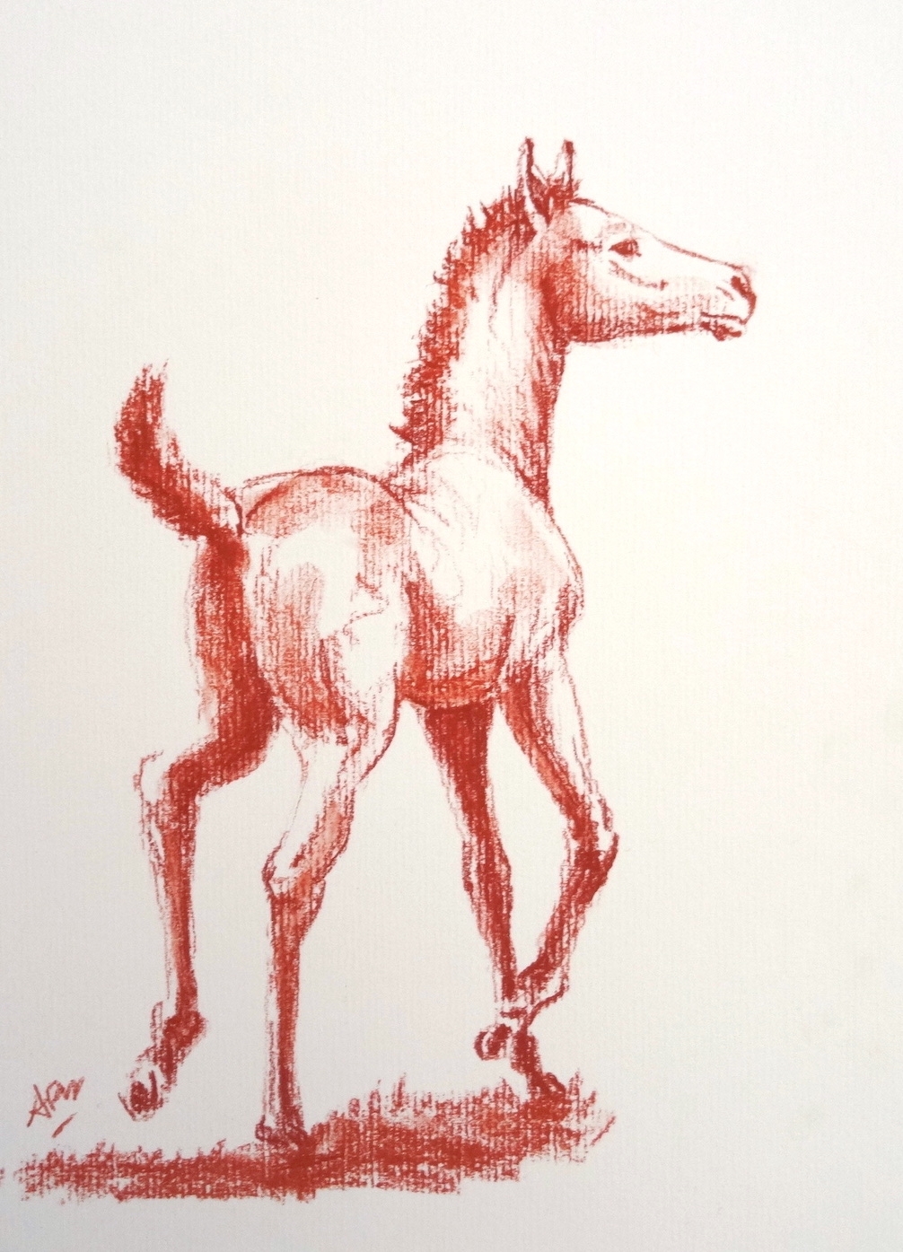 foal-2