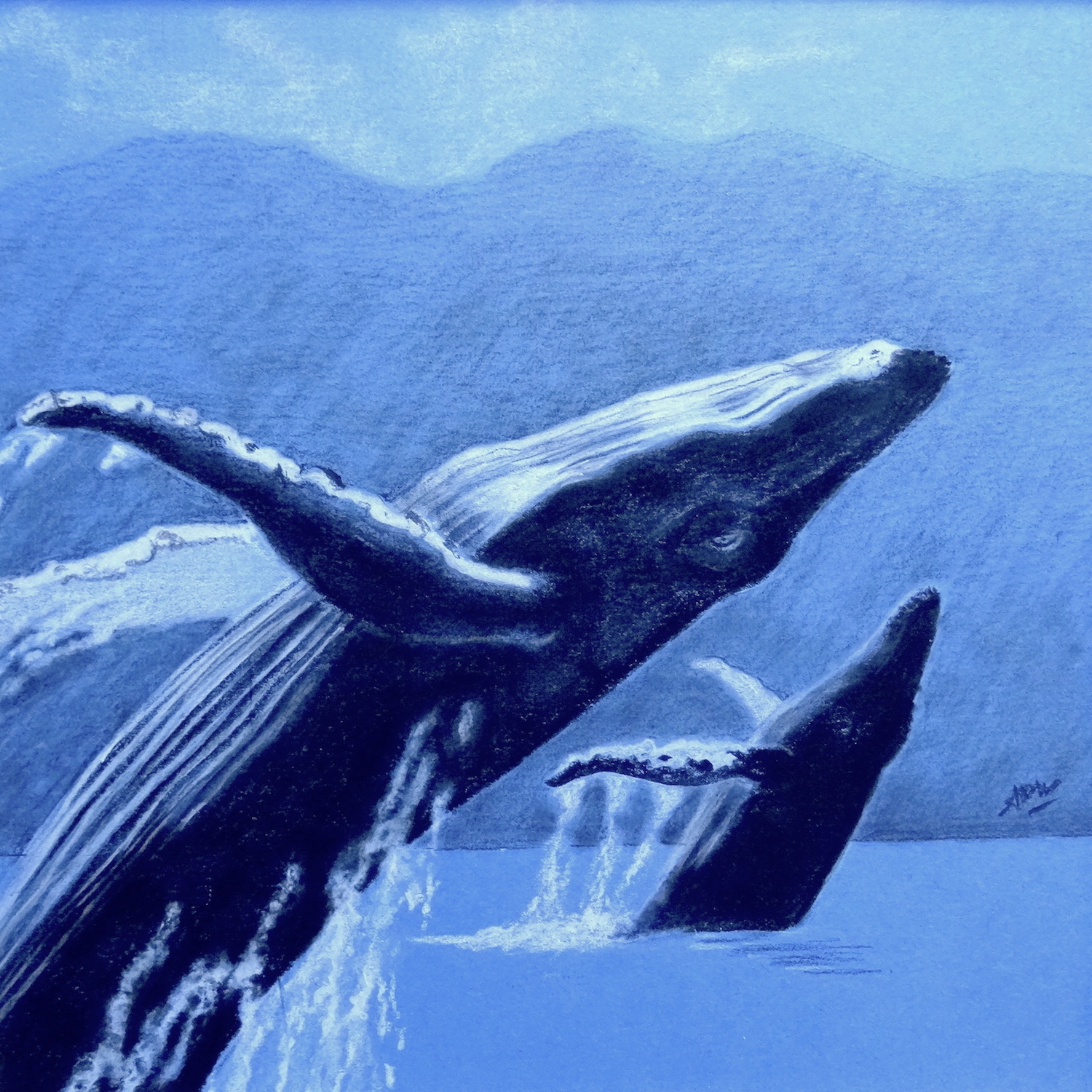 whale-breach